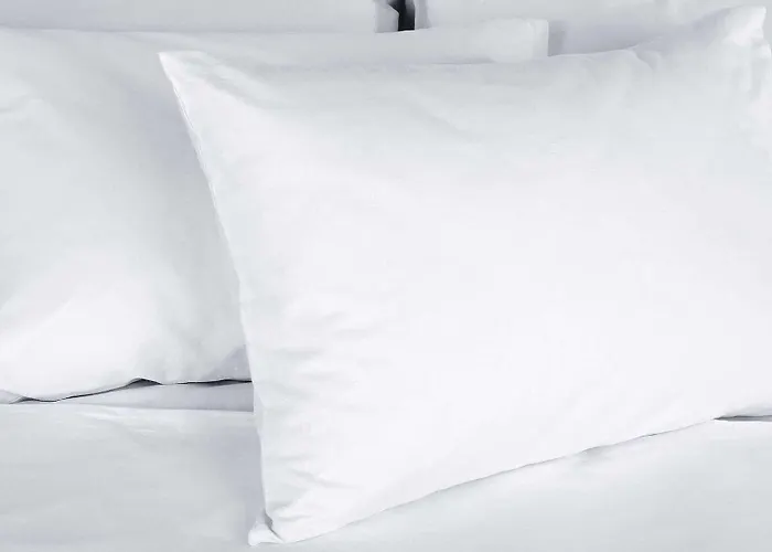 Hotel Mainstay - Kankakee 3*